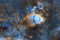 Fish_Head-Nebula